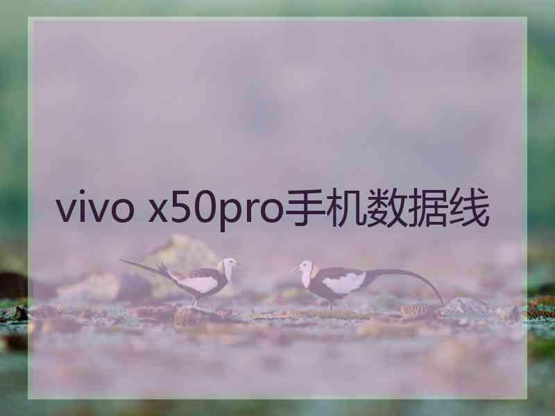 vivo x50pro手机数据线