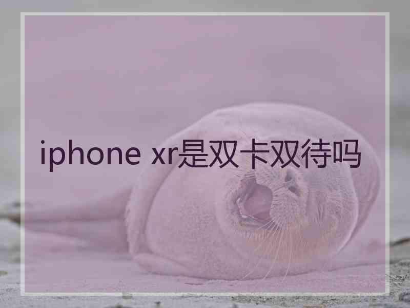 iphone xr是双卡双待吗