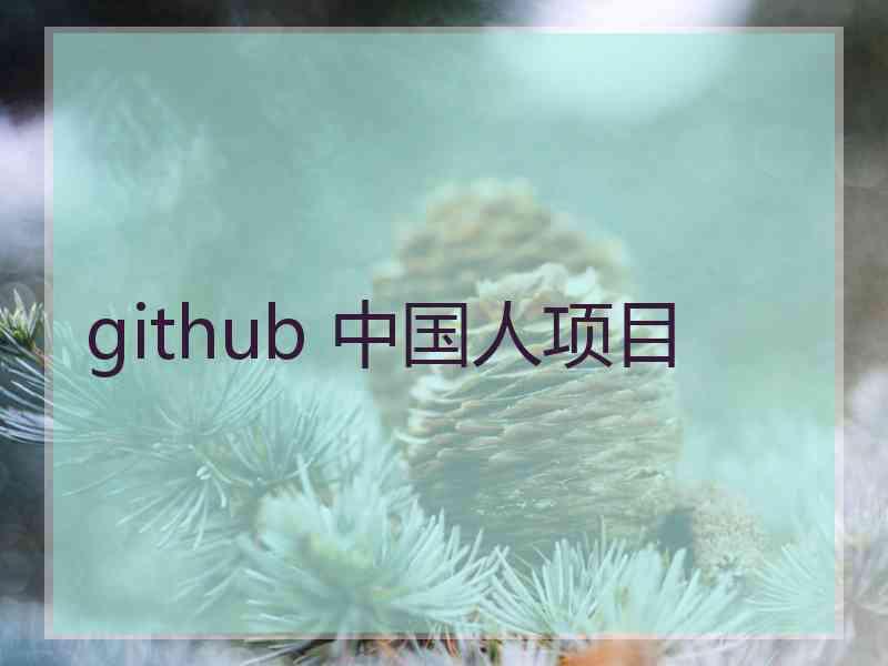 github 中国人项目