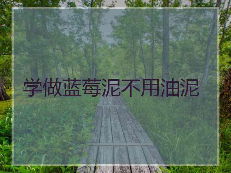 学做蓝莓泥不用油泥