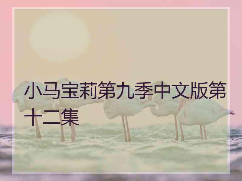 小马宝莉第九季中文版第十二集