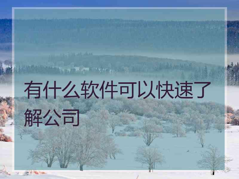 有什么软件可以快速了解公司