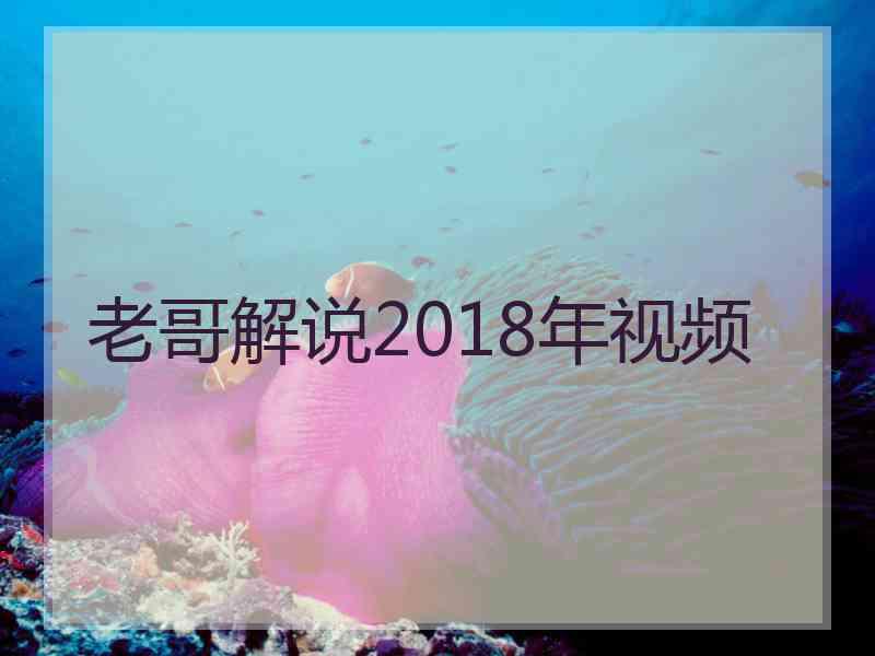 老哥解说2018年视频