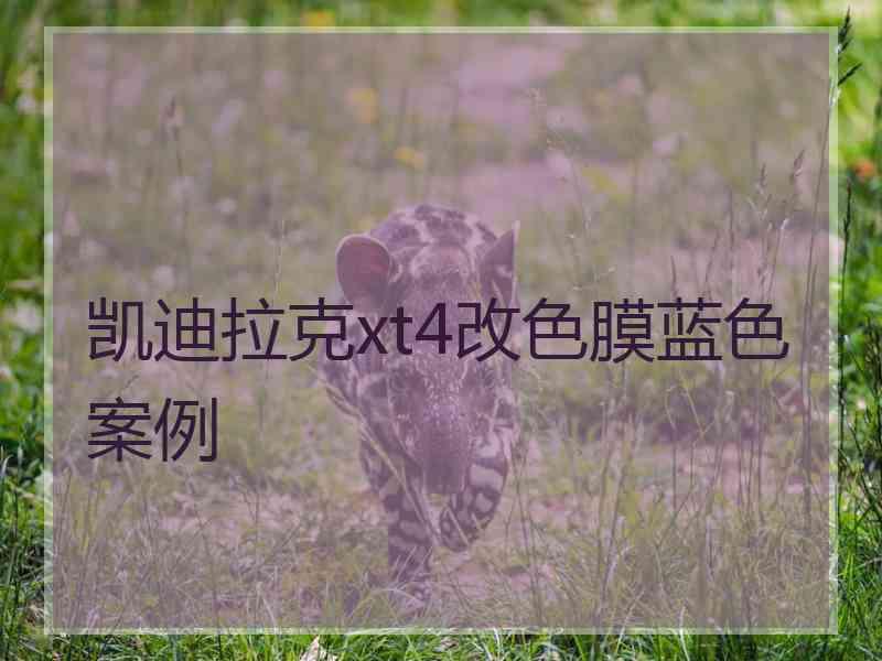 凯迪拉克xt4改色膜蓝色案例