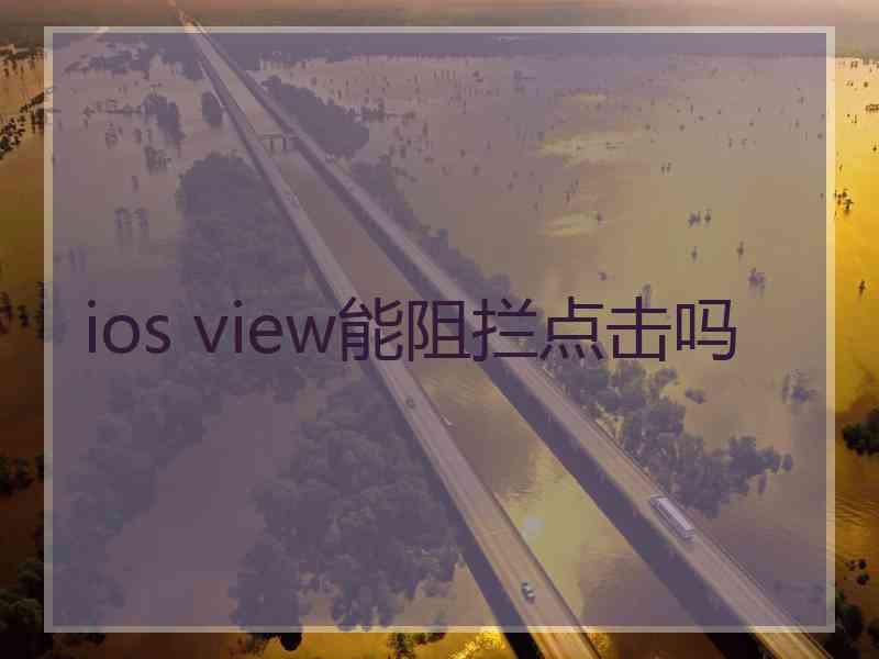 ios view能阻拦点击吗