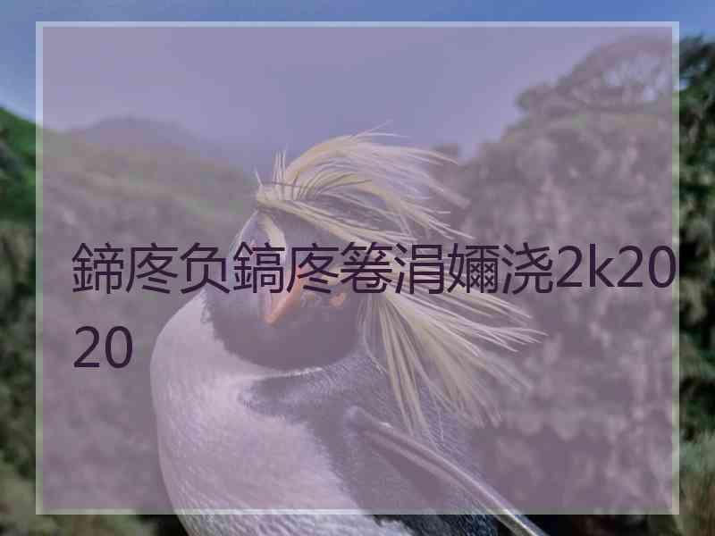 鍗庝负鎬庝箞涓嬭浇2k2020