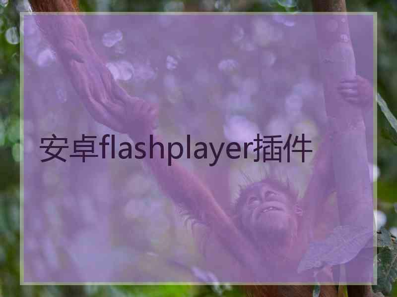 安卓flashplayer插件