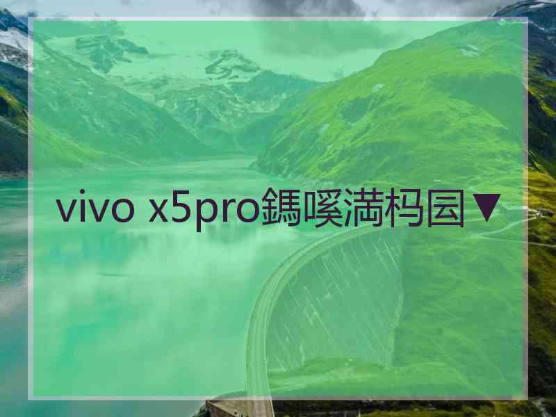 vivo x5pro鎷嗘満杩囩▼