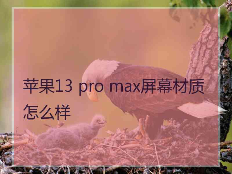 苹果13 pro max屏幕材质怎么样