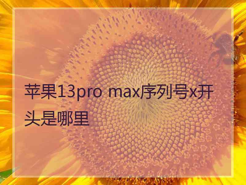 苹果13pro max序列号x开头是哪里