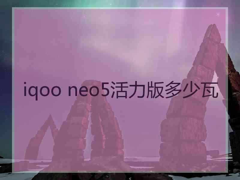 iqoo neo5活力版多少瓦