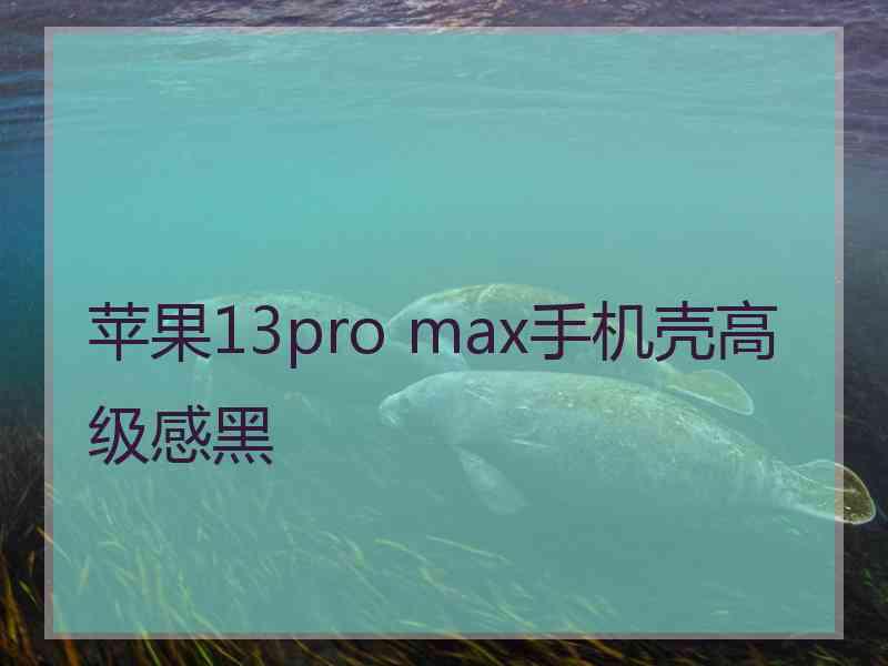 苹果13pro max手机壳高级感黑