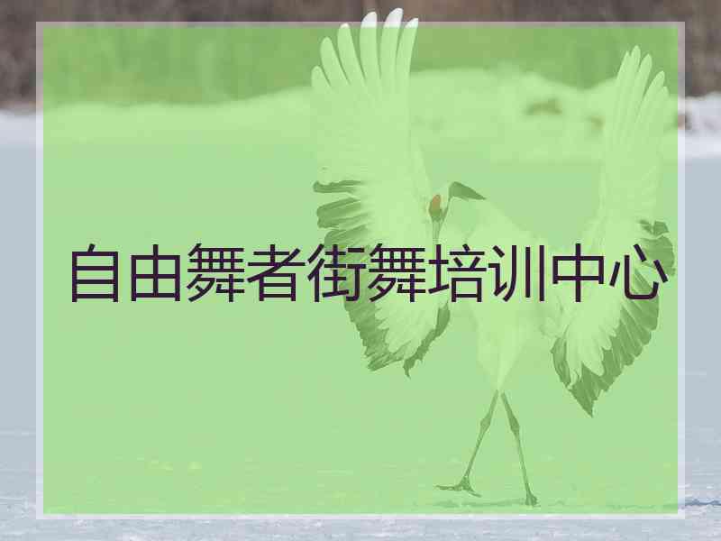 自由舞者街舞培训中心