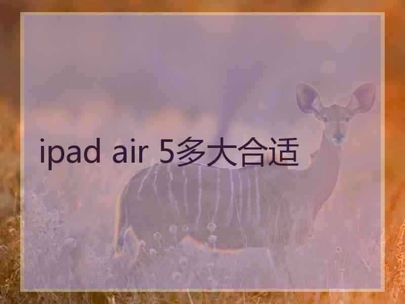 ipad air 5多大合适