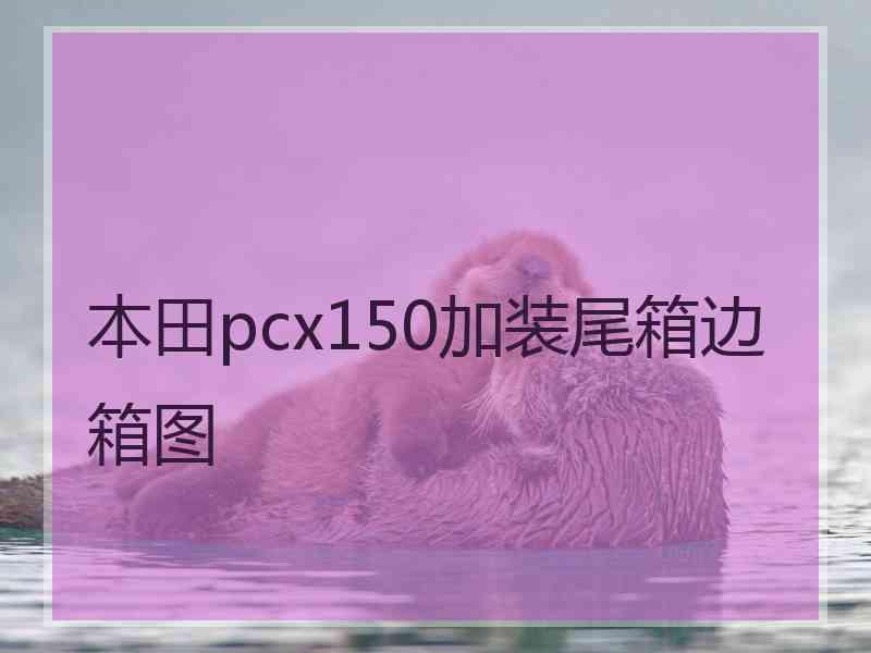 本田pcx150加装尾箱边箱图