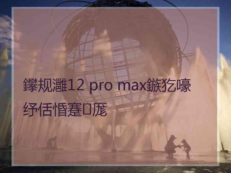 鑻规灉12 pro max鏃犵嚎纾佸惛蹇厖