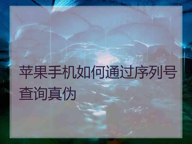 苹果手机如何通过序列号查询真伪