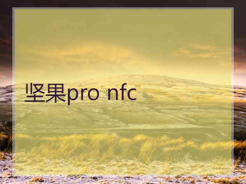 坚果pro nfc