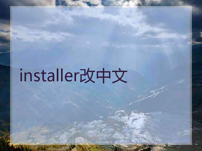 installer改中文