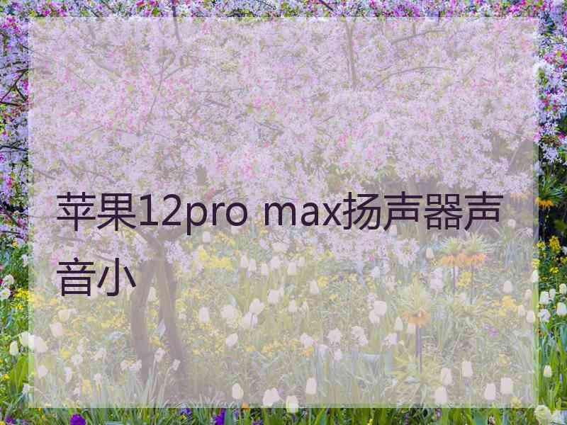 苹果12pro max扬声器声音小