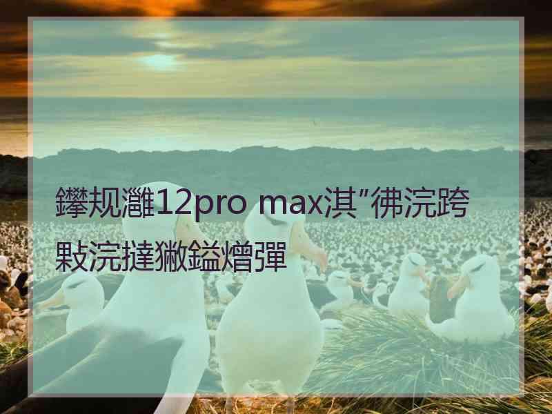 鑻规灉12pro max淇″彿浣跨敤浣撻獙鎰熷彈