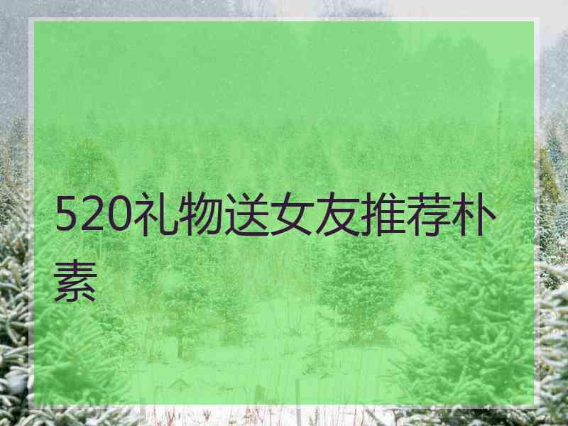 520礼物送女友推荐朴素