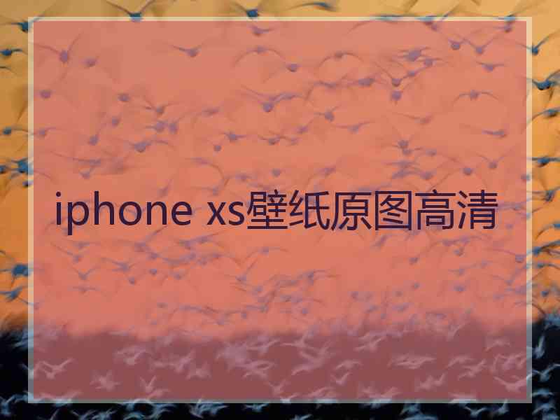 iphone xs壁纸原图高清