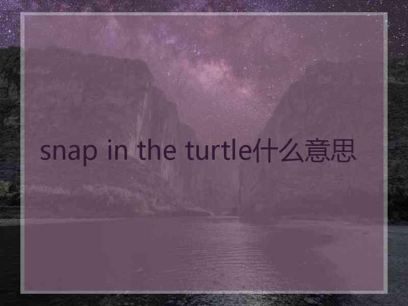 snap in the turtle什么意思