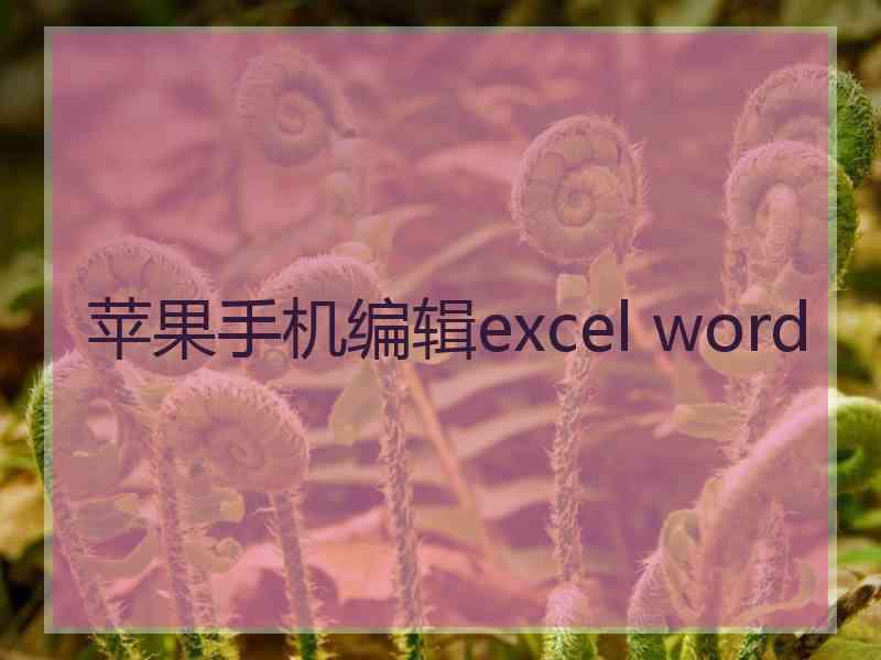 苹果手机编辑excel word