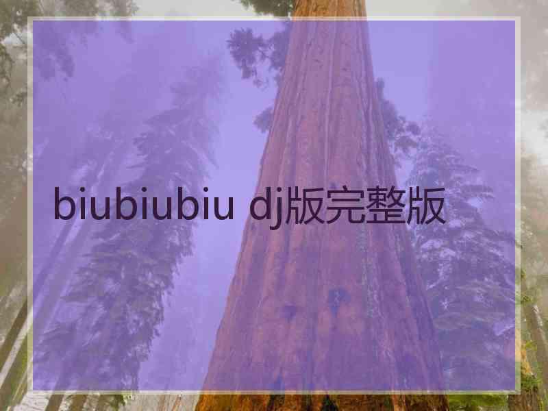 biubiubiu dj版完整版