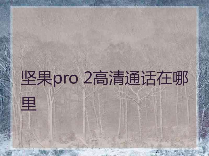 坚果pro 2高清通话在哪里