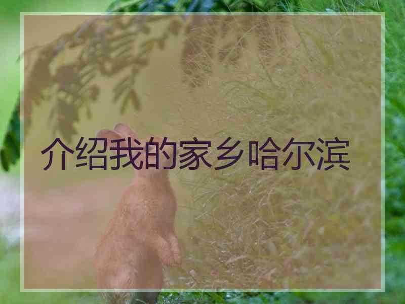 介绍我的家乡哈尔滨