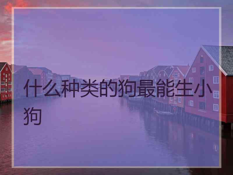 什么种类的狗最能生小狗