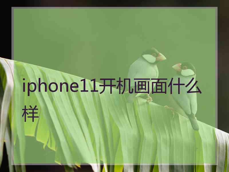 iphone11开机画面什么样