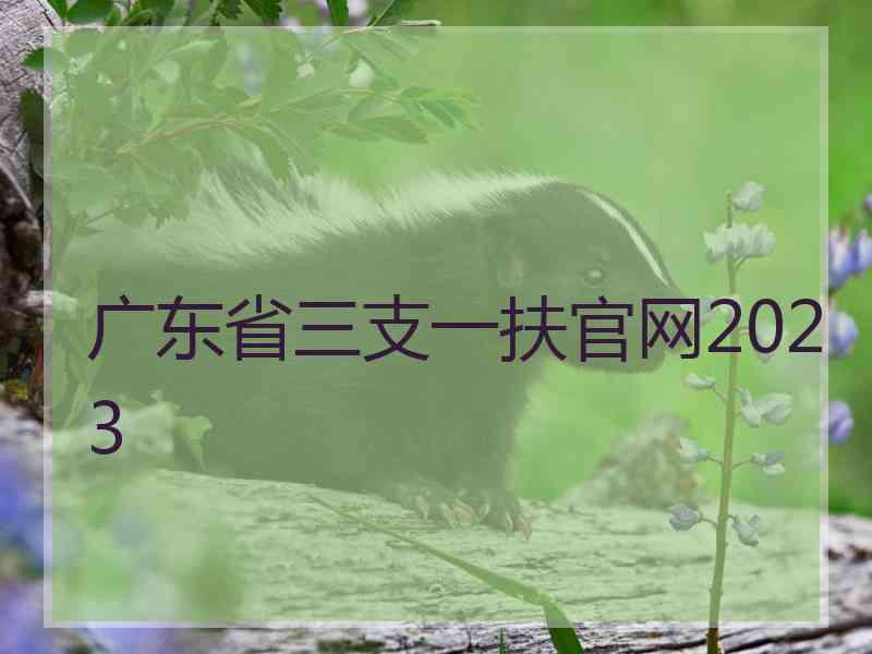 广东省三支一扶官网2023