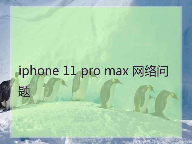 iphone 11 pro max 网络问题