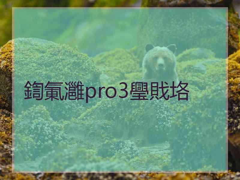 鍧氭灉pro3璺戝垎