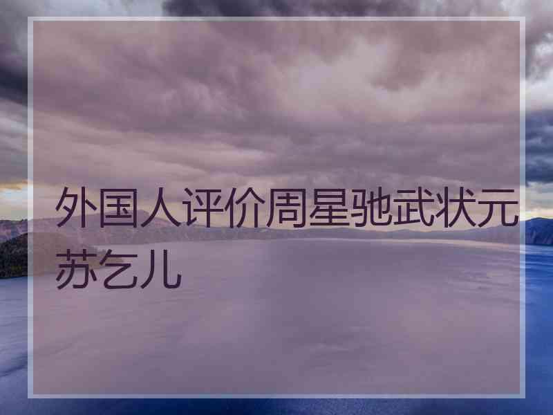 外国人评价周星驰武状元苏乞儿