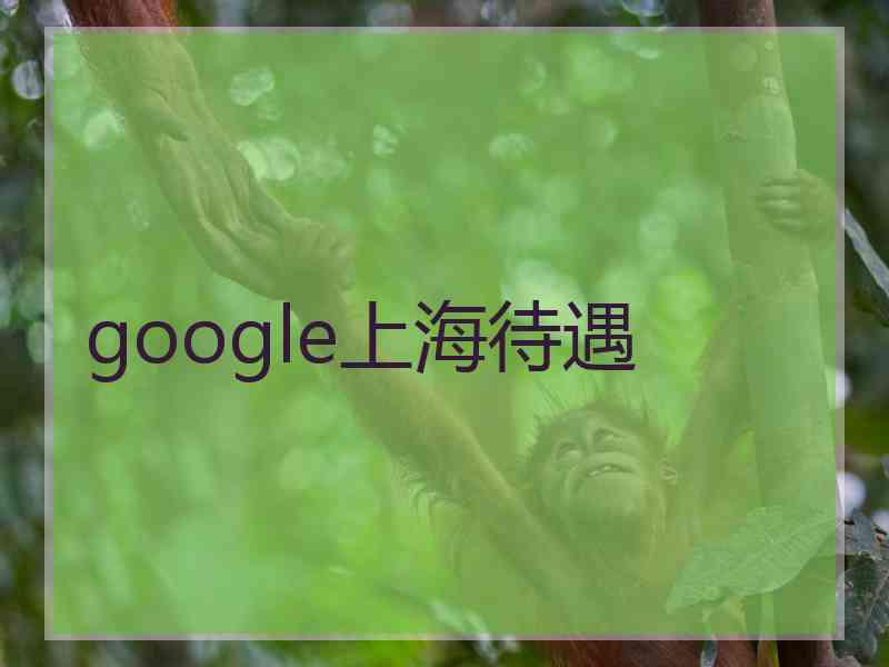 google上海待遇