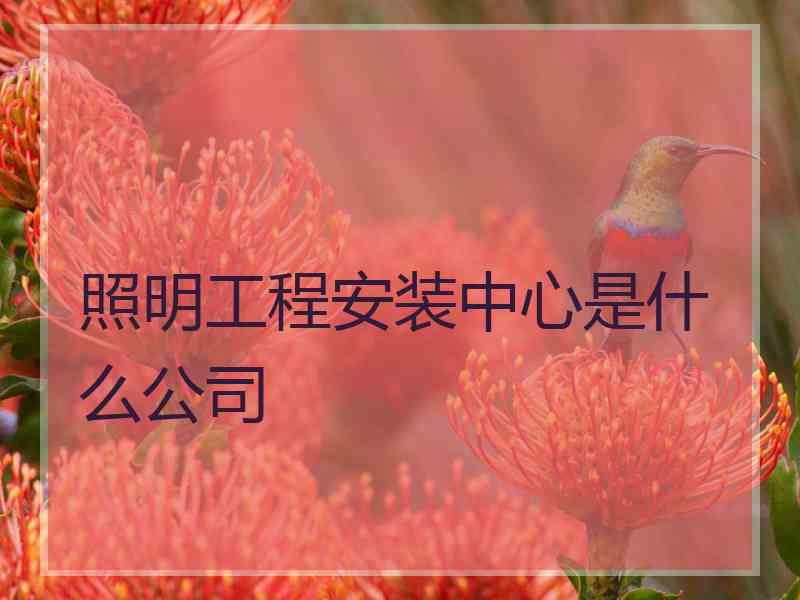 照明工程安装中心是什么公司