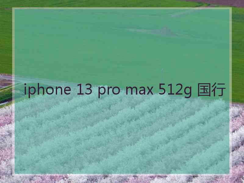 iphone 13 pro max 512g 国行