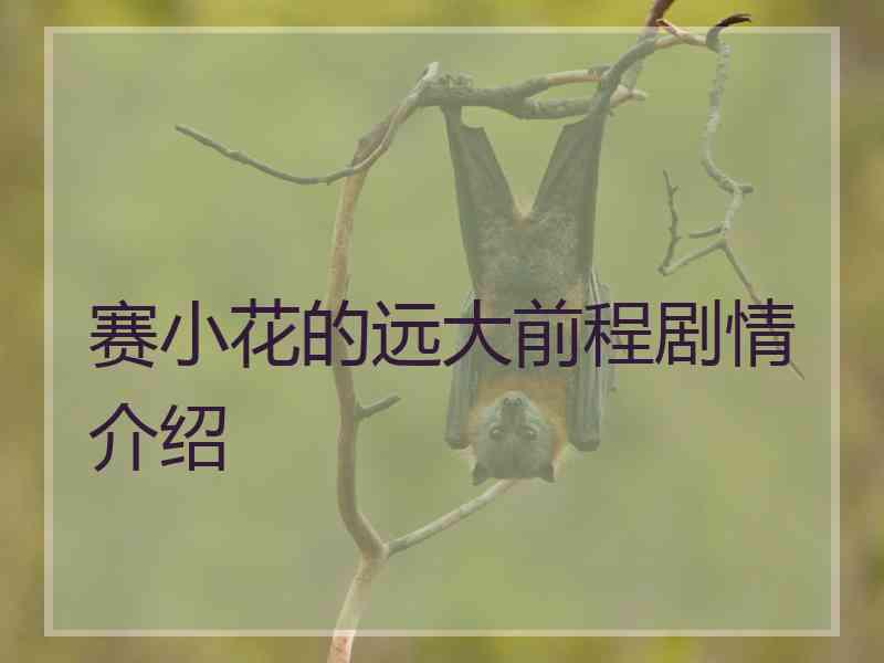 赛小花的远大前程剧情介绍