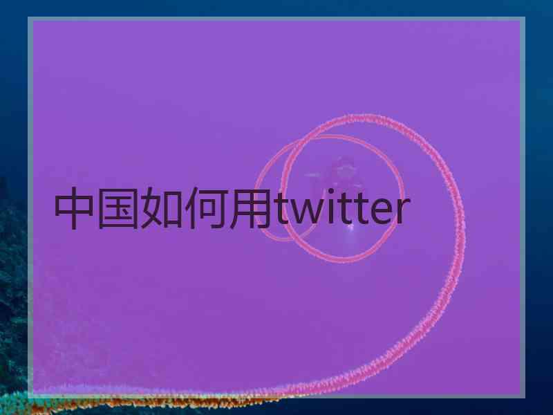 中国如何用twitter