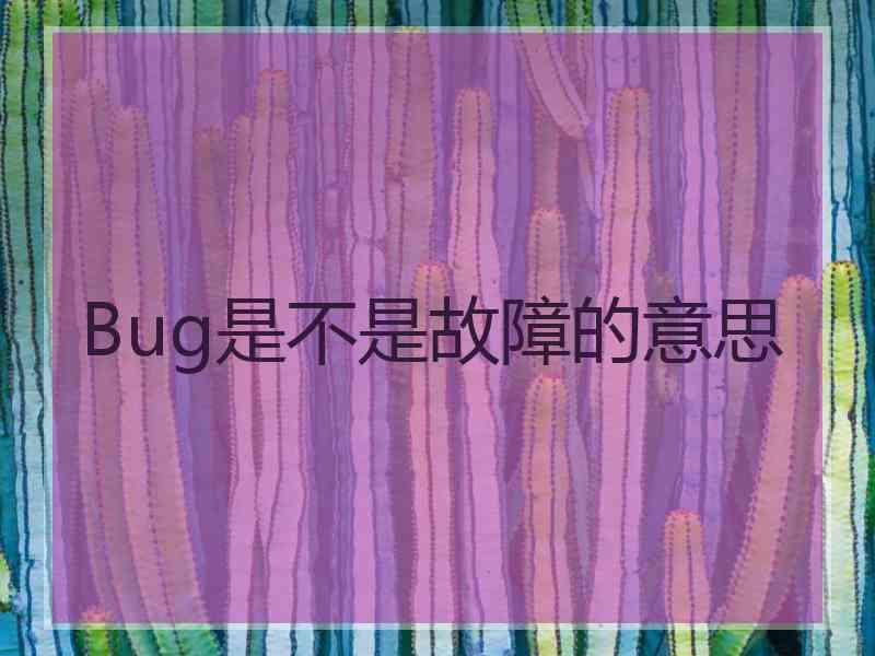 Bug是不是故障的意思