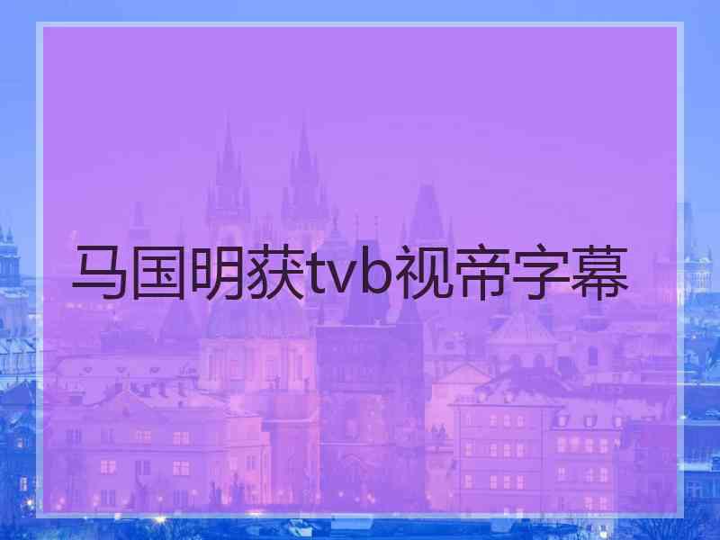 马国明获tvb视帝字幕