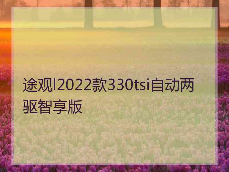 途观l2022款330tsi自动两驱智享版