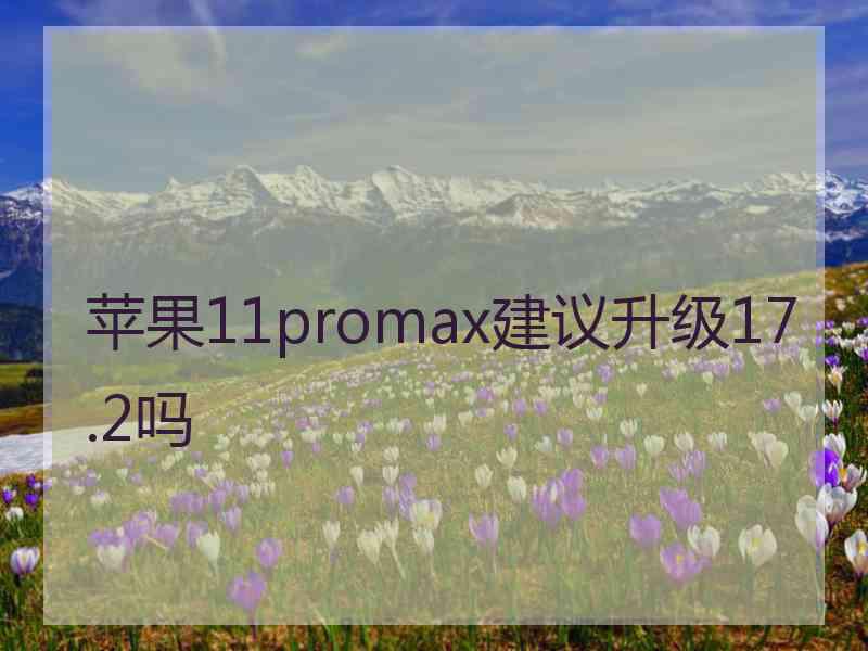 苹果11promax建议升级17.2吗