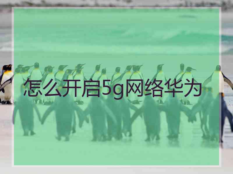 怎么开启5g网络华为