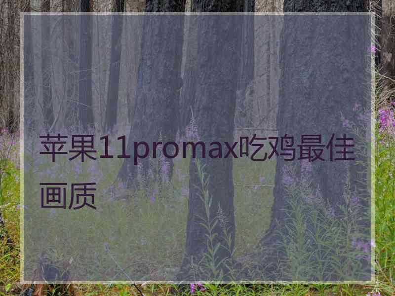 苹果11promax吃鸡最佳画质