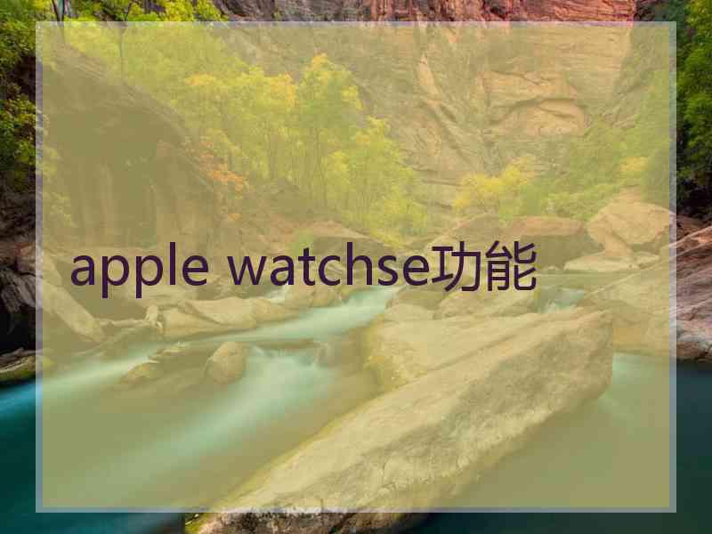 apple watchse功能